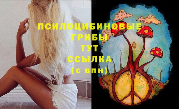 стафф Богданович